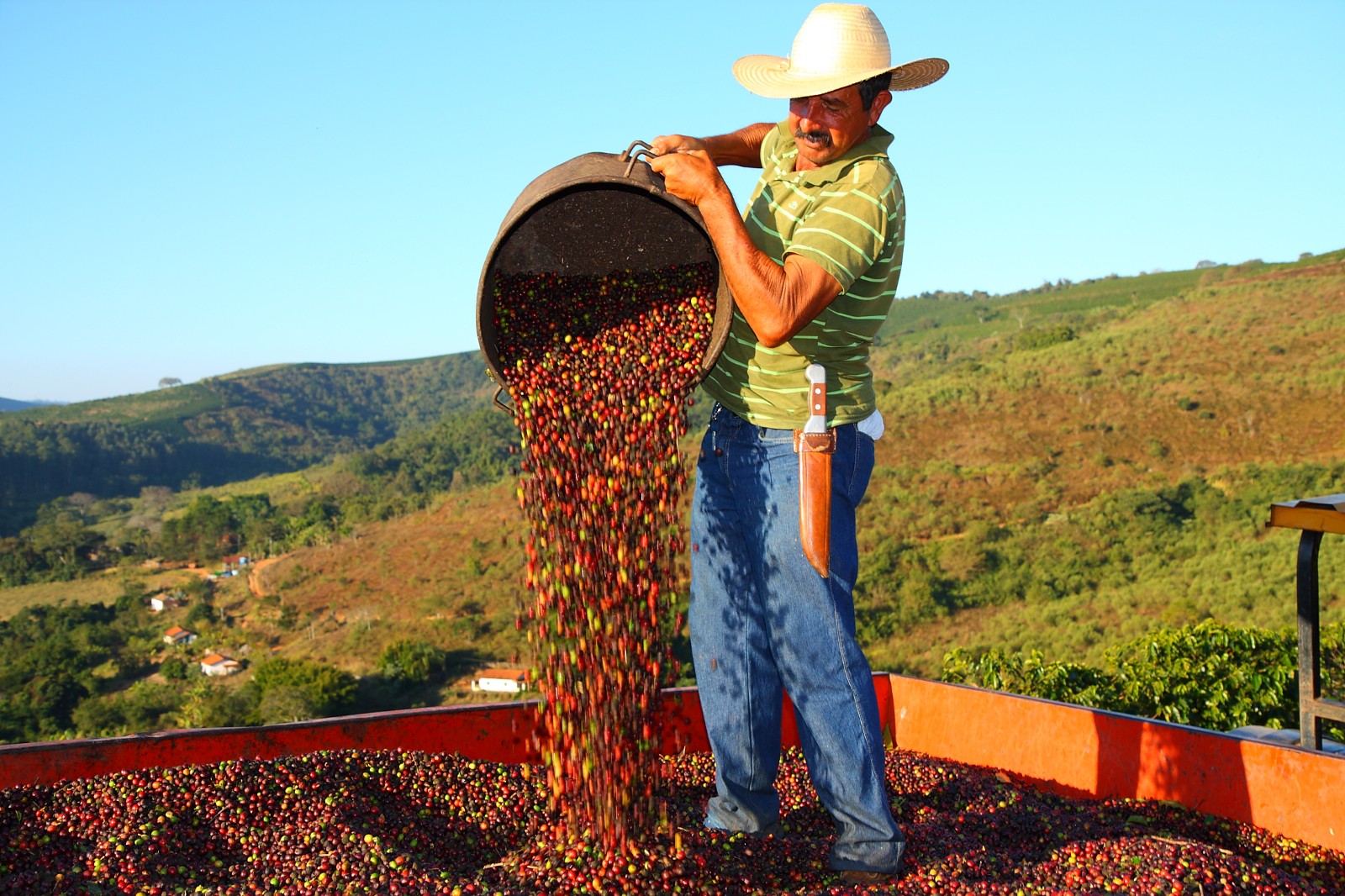 قهوه برزیل جامبو عربیکا